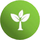 Environmental services